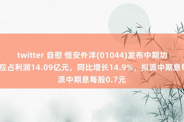 twitter 自慰 恒安外洋(01044)发布中期功绩，鞭策应占利润14.09亿元，同比增长14.9%，拟派中期息每股0.7元