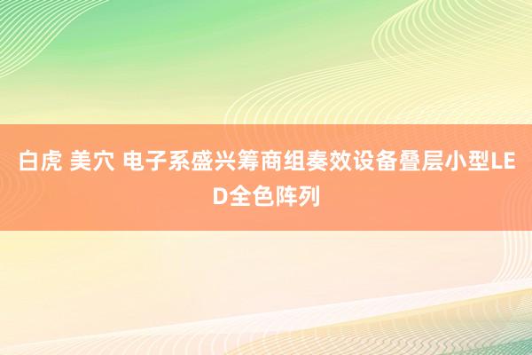 白虎 美穴 电子系盛兴筹商组奏效设备叠层小型LED全色阵列