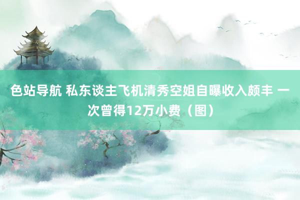 色站导航 私东谈主飞机清秀空姐自曝收入颇丰 一次曾得12万小费（图）